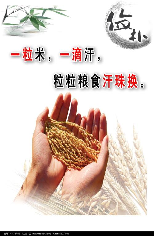 旭川大学MarketDevelopmentDiploma
